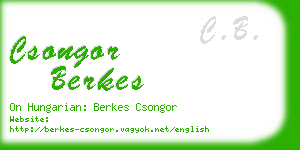 csongor berkes business card